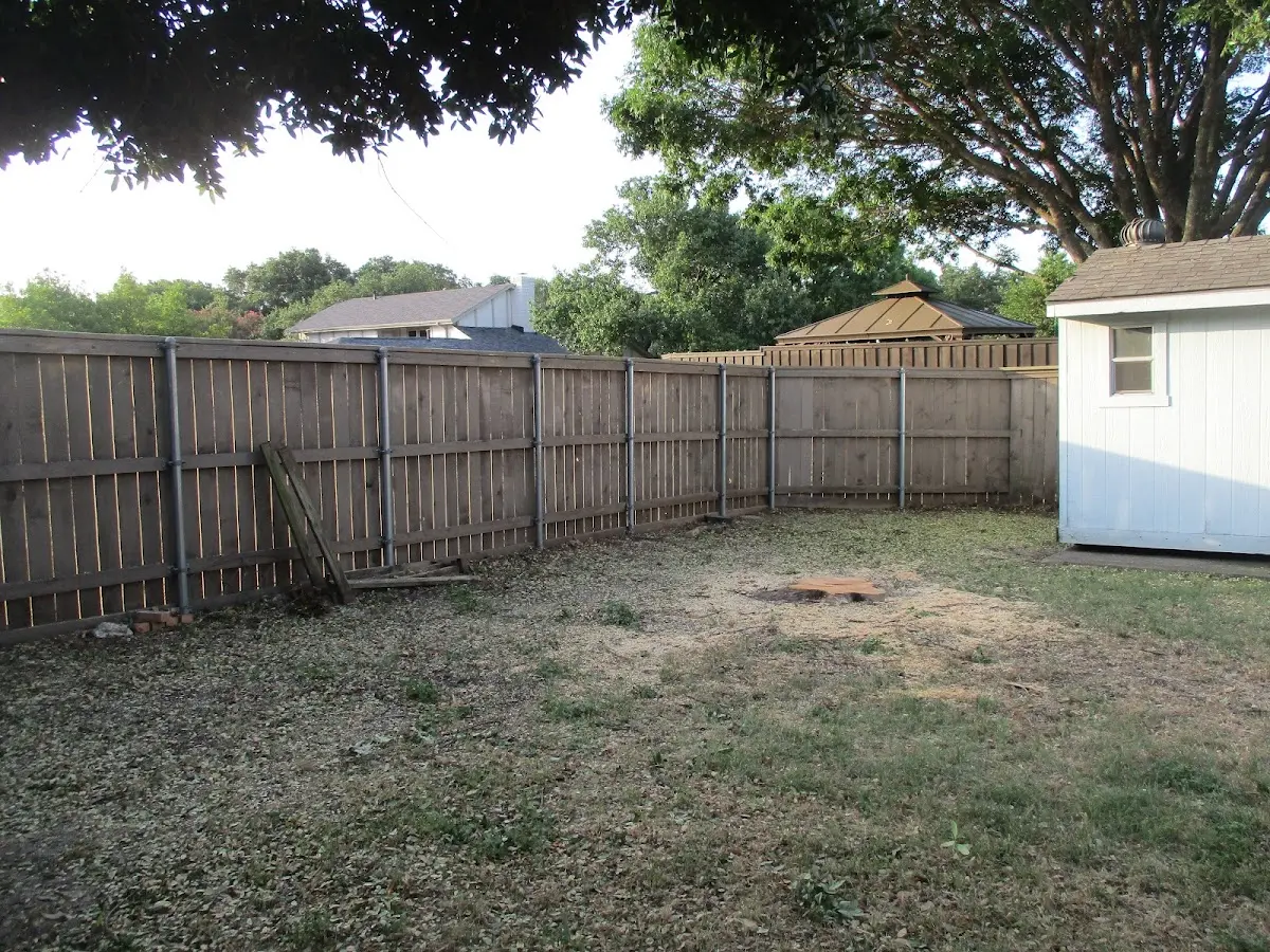 Cleared yard after professional tree removal in North Fort Myers