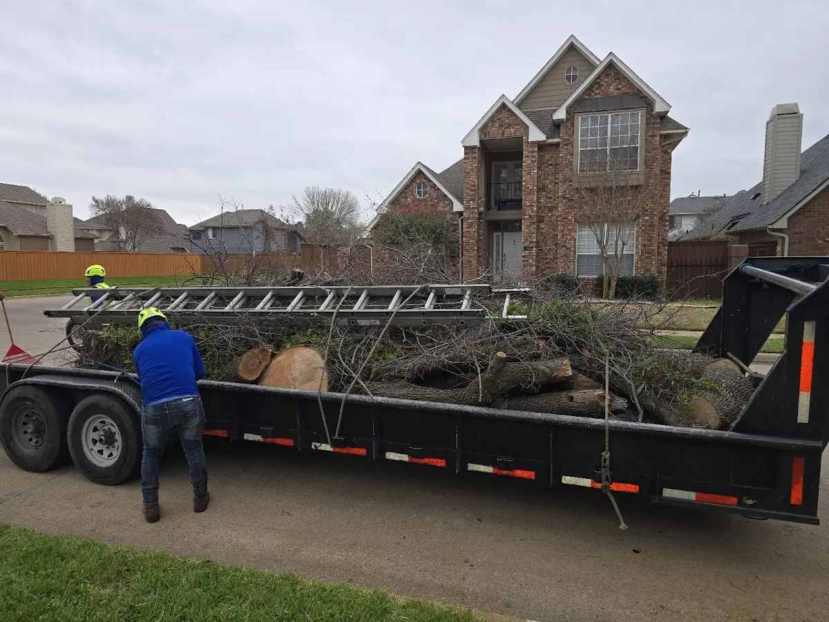 Expert Tree Pest Control with proper safety equipment in North Fort Myers